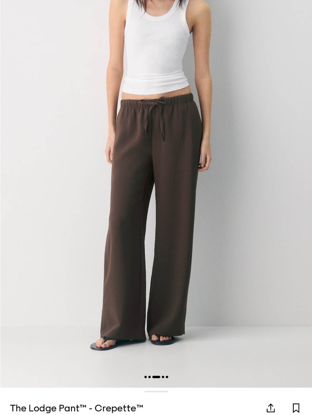 Aritzia Lodge Pant - Rich Mocha Brown
